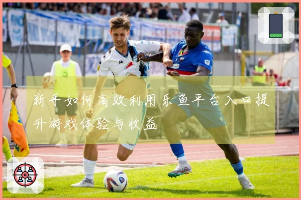 新手如何高效利用乐鱼平台入口提升游戏体验与收益