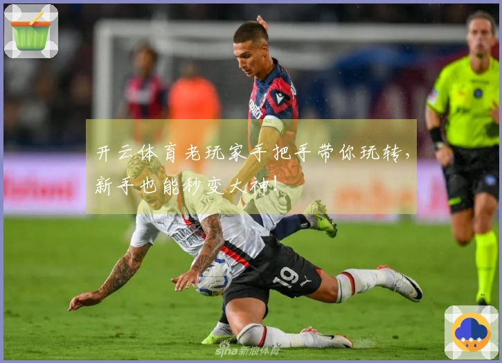 开云体育老玩家手把手带你玩转，新手也能秒变大神！