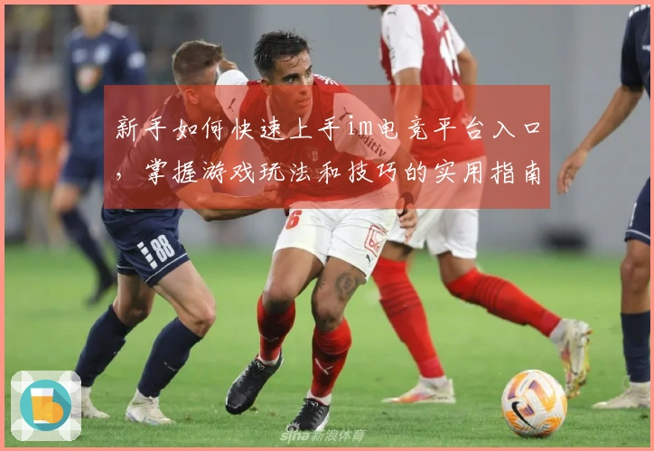 新手如何快速上手im电竞平台入口，掌握游戏玩法和技巧的实用指南