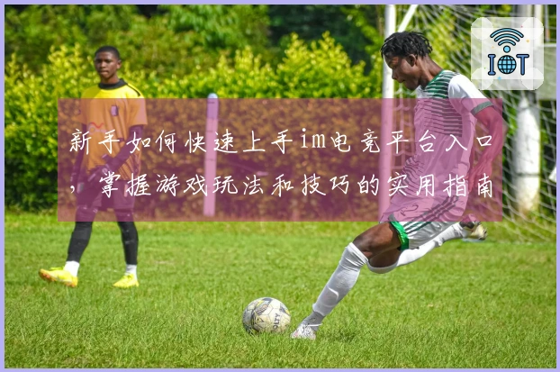 新手如何快速上手im电竞平台入口，掌握游戏玩法和技巧的实用指南
